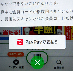 PayPay �Ŏx����