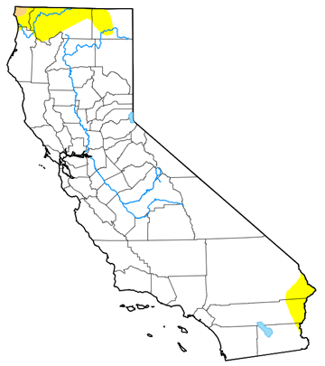 usa map (california)